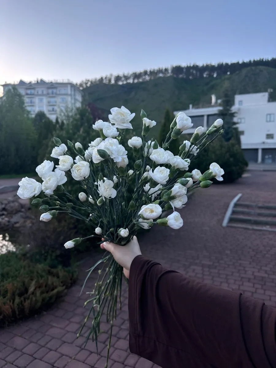 Гвоздики кустовые белые — фото 2