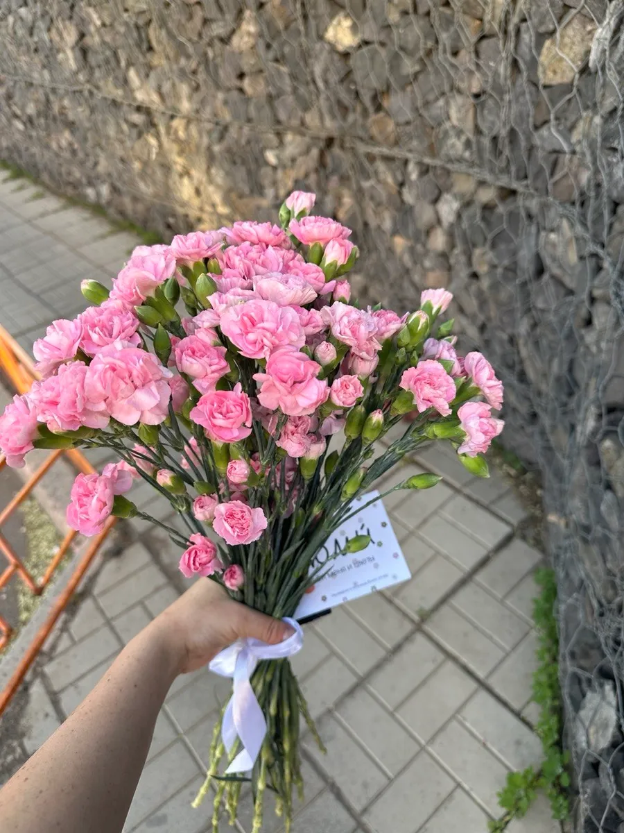 Гвоздики кустовые розовые — фото 1